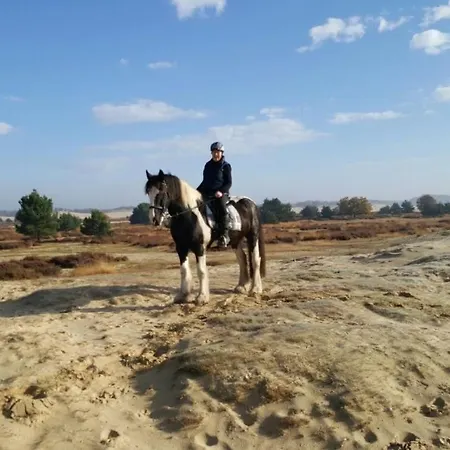 贝克的住宿加早餐旅馆 4*