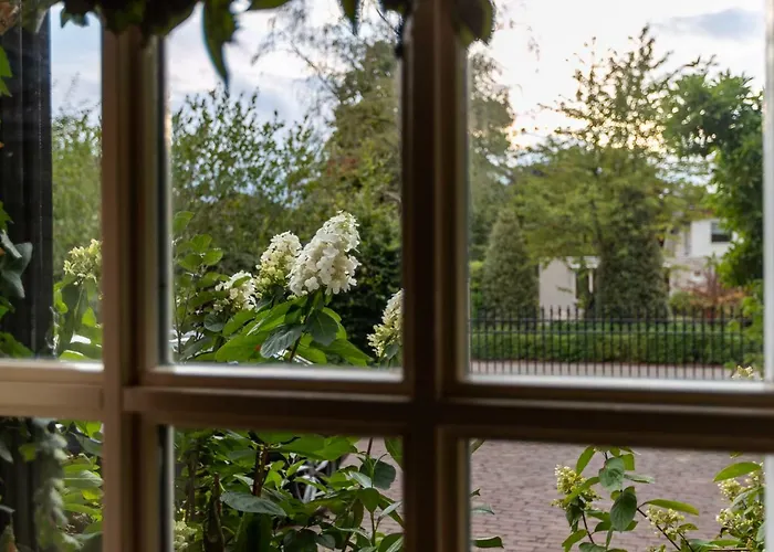 Beck's 4* カーツスフーフェル