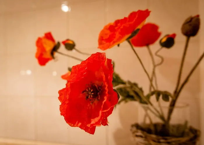 Beck's ベッド・アンド・ブレックファスト カーツスフーフェル